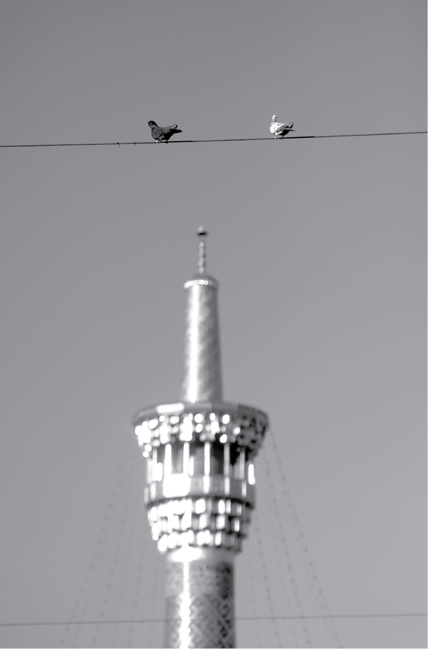 ستاره ها می‌خندند