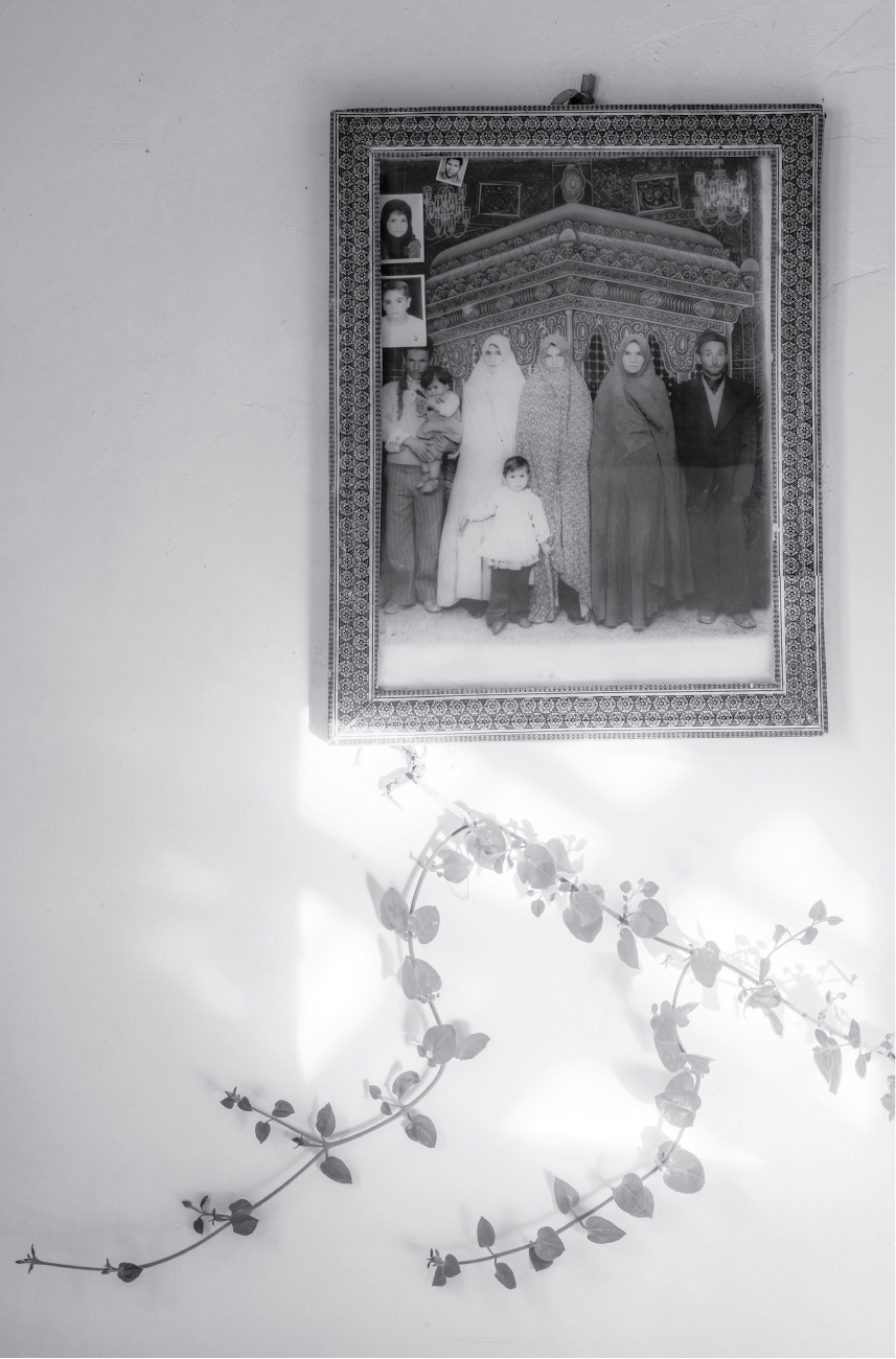 وقتی عشق شکوفه می دهد